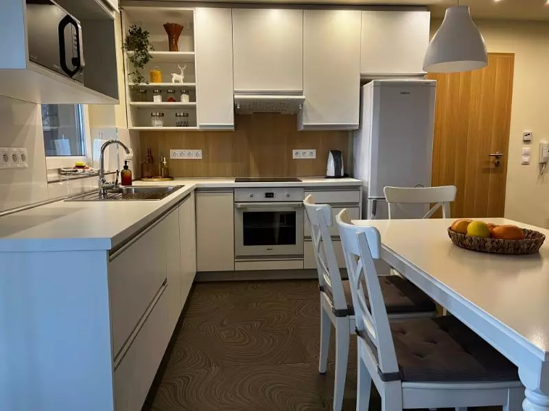 kitchen in the 2-bedroom apartment


