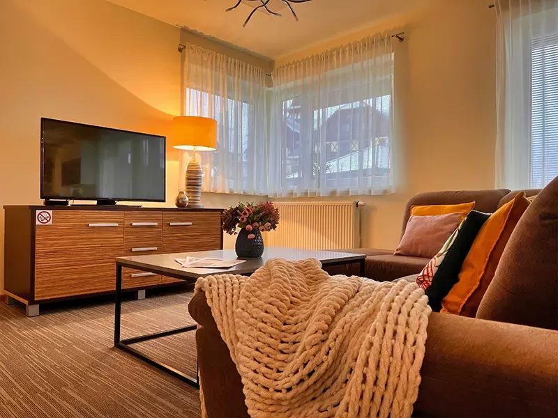 Comfortable sofa in apartment C3